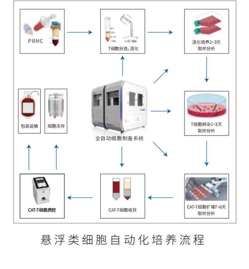 全自动细胞培养制备系统